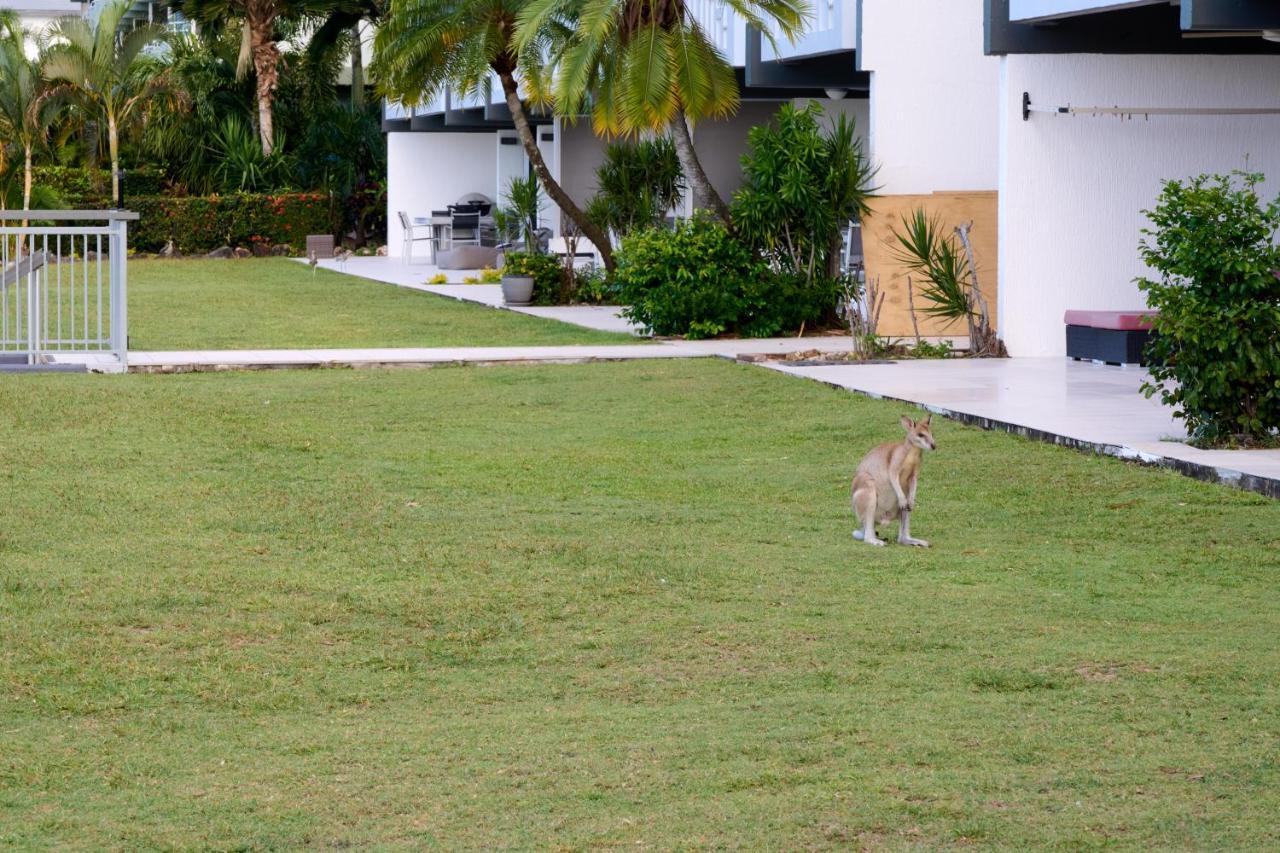 Beach Lodges Hamilton Island Exterior photo